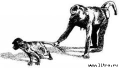 Там, где бродили львы (с иллюстрациями) - i_076.jpg