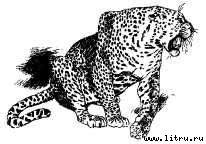 Там, где бродили львы (с иллюстрациями) - i_079.jpg