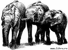 Там, где бродили львы (с иллюстрациями) - i_104.jpg