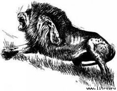 Там, где бродили львы (с иллюстрациями) - i_107.jpg