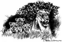 Там, где бродили львы (с иллюстрациями) - i_108.jpg