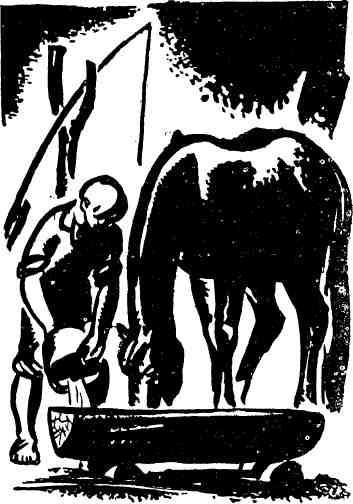 Будни отважных - img_35.jpg