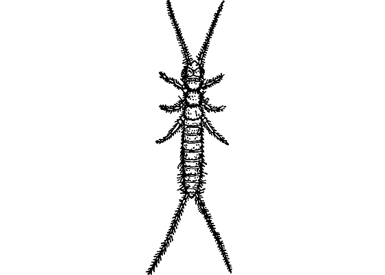 Путешествие в страну нектара - i_063.png