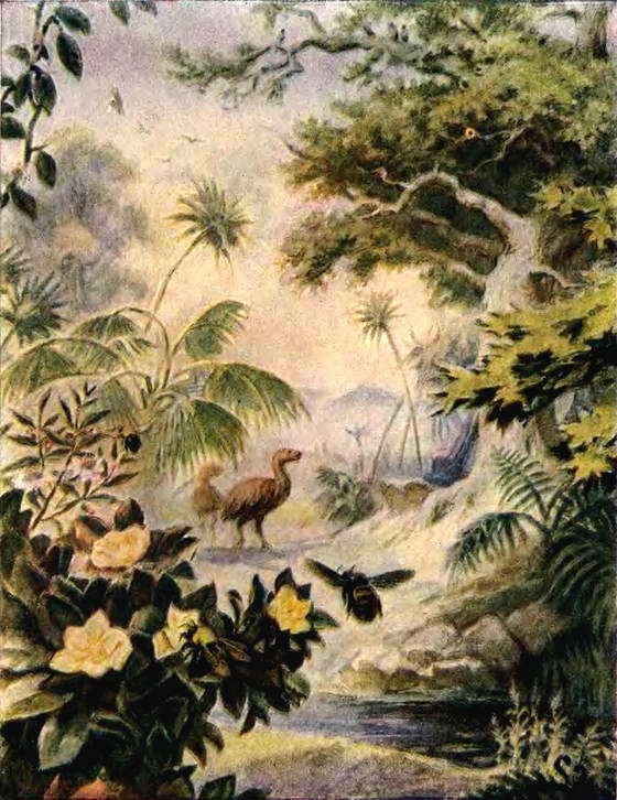 Путешествие в страну нектара - i_067.jpg