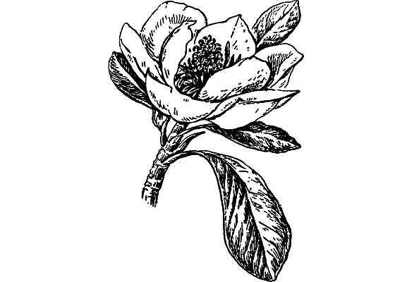 Путешествие в страну нектара - i_068.png