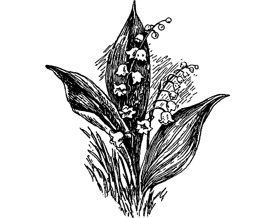 Путешествие в страну нектара - i_073.png