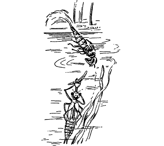 Путешествие в страну нектара - i_081.png