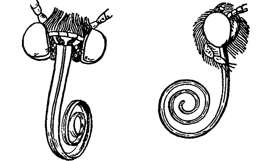 Путешествие в страну нектара - i_155.png