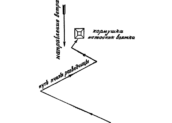 Путешествие в страну нектара - i_180.png
