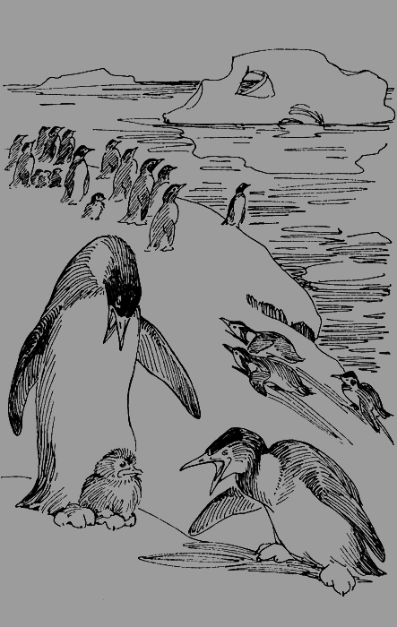 Мои питомцы и другие звери - img39.png