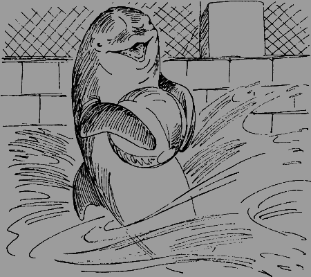 Мои питомцы и другие звери - img79.png