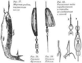 Рыбы России. Том первый - _41.jpg