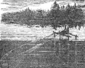 Рыбы России. Том первый - _69.jpg