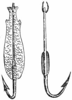 Рыбы России. Том первый - _70.jpg