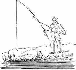 Рыбы России. Том второй - _23.jpg