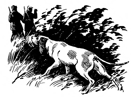 Дружище Тобик (сборник) - i_004.png