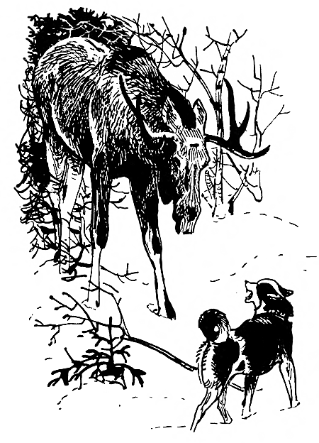 Дружище Тобик (сборник) - i_009.png