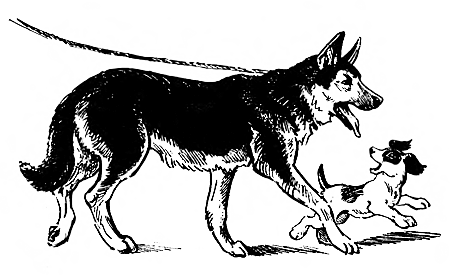 Дружище Тобик (сборник) - i_010.png