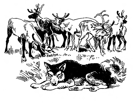 Дружище Тобик (сборник) - i_012.png