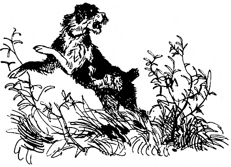 Дружище Тобик (сборник) - i_014.png