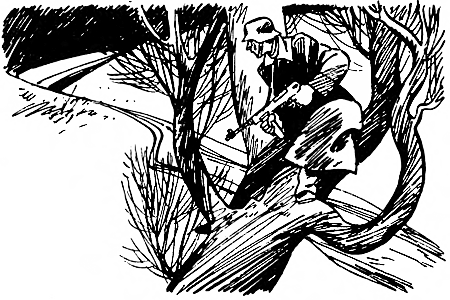 Дружище Тобик (сборник) - i_025.png