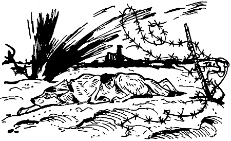 Дружище Тобик (сборник) - i_029.png