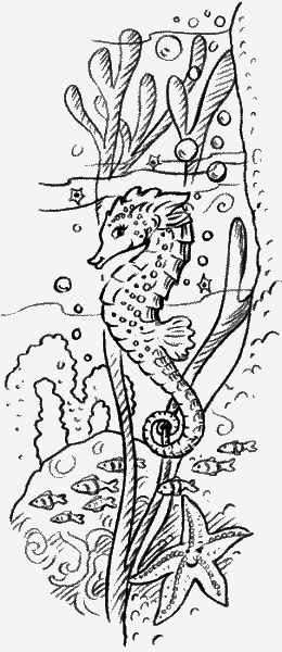 Русалочий риф - _031.png