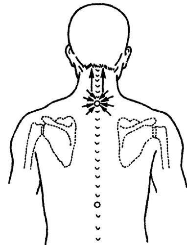 Всё про массаж - i_069.jpg