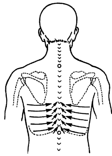 Всё про массаж - i_071.jpg