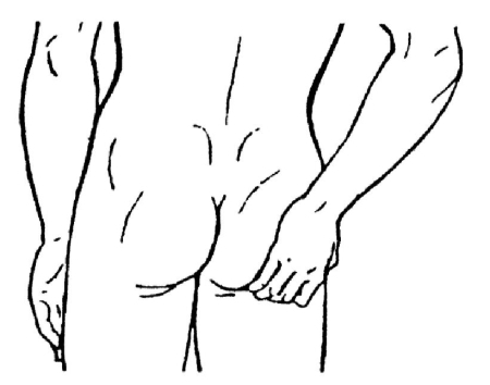 Всё про массаж - i_203.jpg