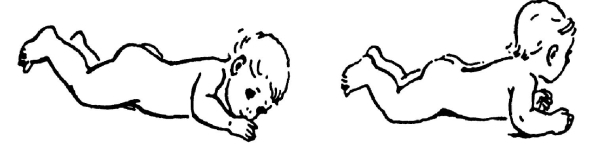 Всё про массаж - i_207.jpg