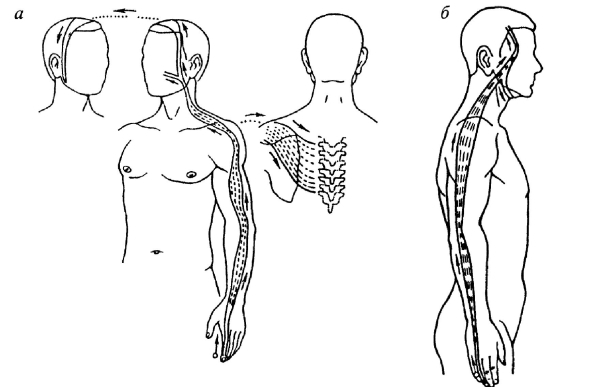 Всё про массаж - i_229.jpg
