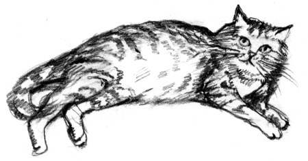 Белый пудель (сборник) - i_017.jpg