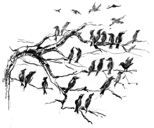 Белый пудель (сборник) - i_020.jpg