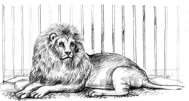 Белый пудель (сборник) - i_021.jpg