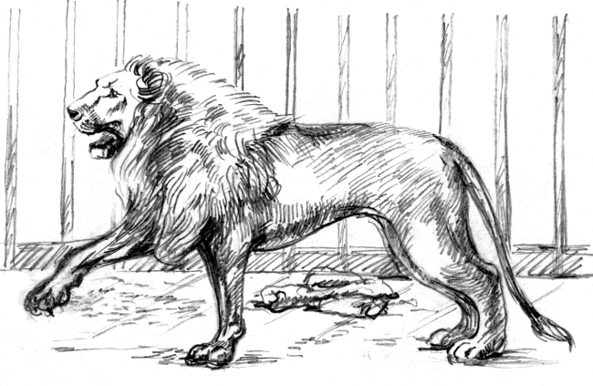 Белый пудель (сборник) - i_022.jpg