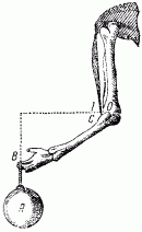 Занимательная физика. Книга 1 - pic_29.png