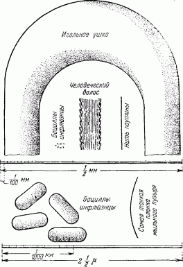 Занимательная физика. Книга 1 - pic_74.png