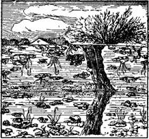 Занимательная физика. Книга 2 - pic_149.jpg