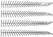 Занимательная физика. Книга 2 - pic_166.jpg