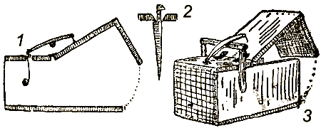 Маленькие дикари (Издание 1923 г.) - i_150.png