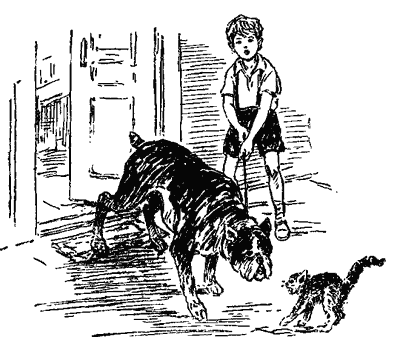 Пять моих собак - i_004.png