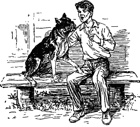 Пять моих собак - i_006.png