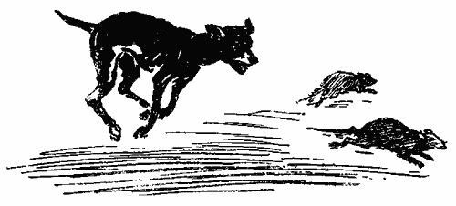 Пять моих собак - i_010.png