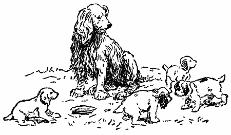 Пять моих собак - i_015.png