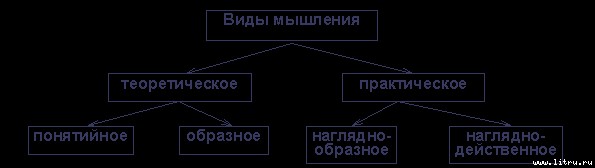 Общая психология - image6.jpg