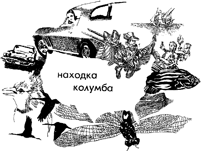 Земля за океаном - pic300.png