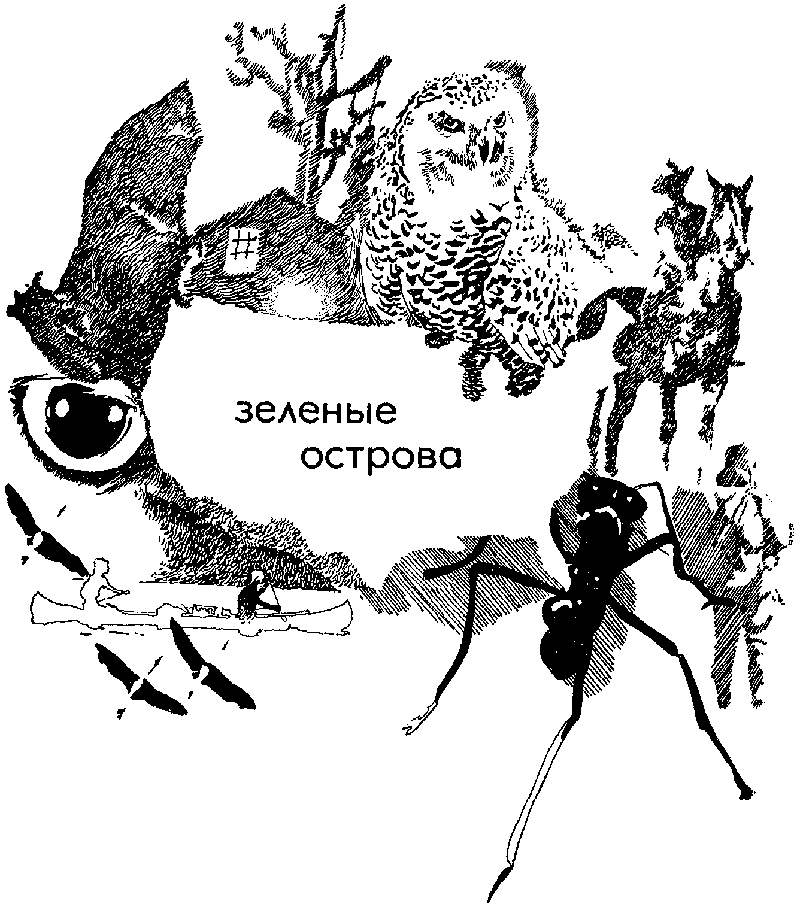 Земля за океаном - pic400.png