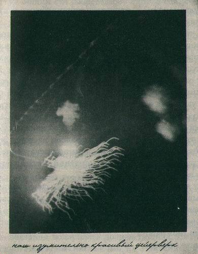 Дом странных детей - i_029.jpg