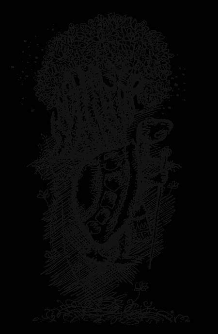 Самба-храбрец. Сказки и легенды Сенегала - _4.jpg